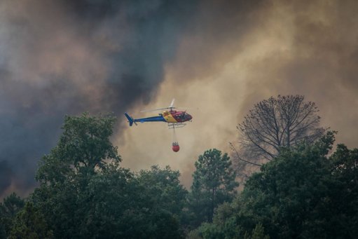 Protestos em Quinze Concelhos Exigem Nova Política Florestal