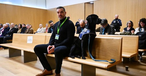 Procès de Maylis Daubon : une mère accusée d'empoisonnement et suspectée du syndrome de Münchhausen par procuration