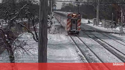 Colisão com Comboio nos EUA Resulta em Ferimentos Ligeiros para Condutor