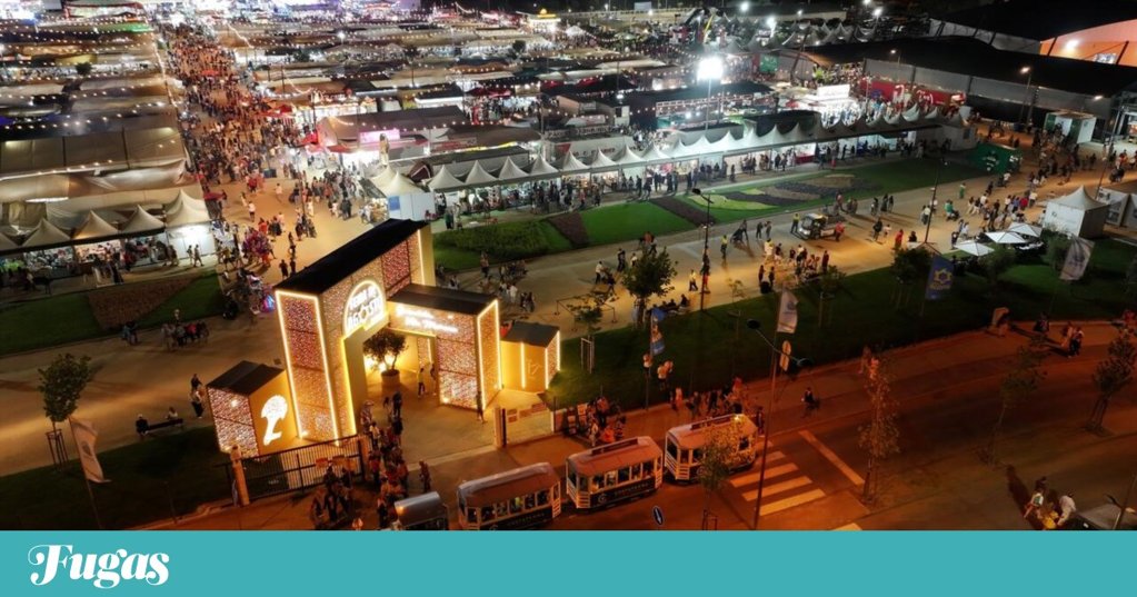 Feira de Agosto de Grândola comemora 381 anos com grandes concertos e foco na sustentabilidade