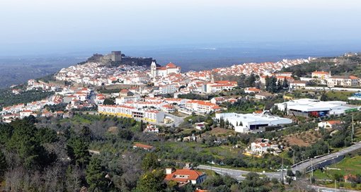 Apoio Imediato a Agricultores: Comunidades Mobilizam-se para Alimentar Animais Afetados pelos Incêndios