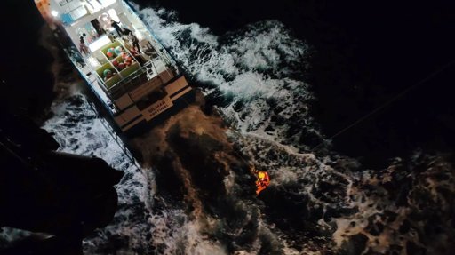 Ataques de orcas a veleiros ao largo de Peniche levam a resgates e alertam para perigo na navegação