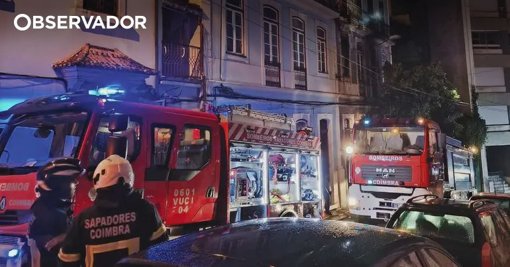 Gato aciona placa de indução e causa incêndio em Coimbra