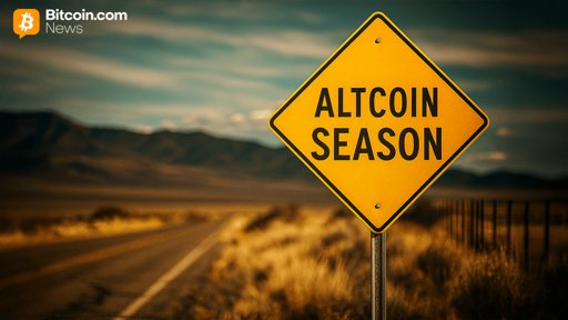 Analistas Advierten que la "Temporada de Altcoins" Aún no ha Llegado