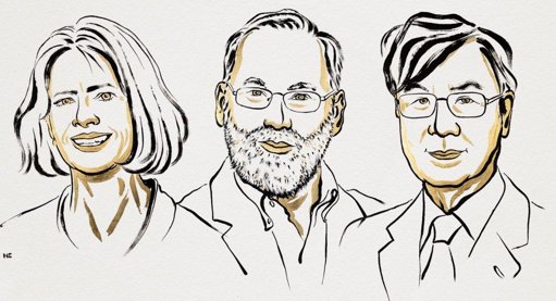 Nobel de Economía 2025 Pone en Evidencia la Falta de "Destrucción Creativa" en Colombia