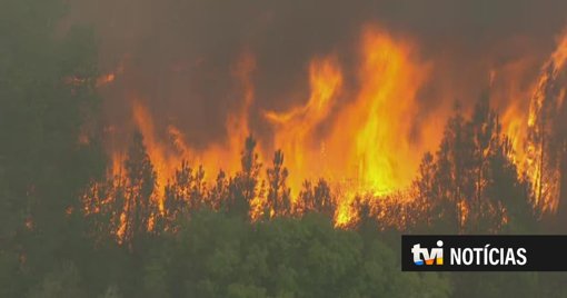 Jovem de 14 anos identificado como autor de dezenas de incêndios em Fafe