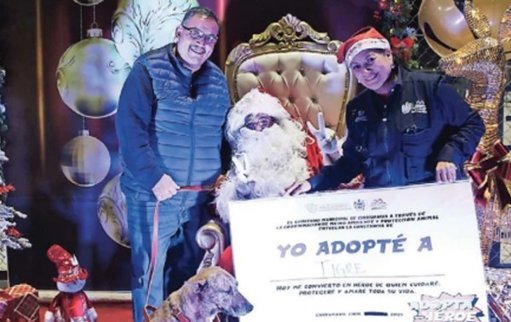 Evento "Navidad de Pelos" encuentra hogar para diez mascotas en Chihuahua