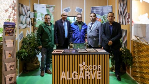 Festival da Batata-doce de Aljezur destaca produto endógeno e reforça sustentabilidade agrícola