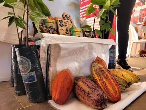 Bucaramanga rinde homenaje a los agricultores con el Festival del Criollo en Centroabastos