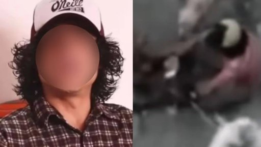 Comunidad y autoridades rescatan siete perros de presunto maltratador en Pasto