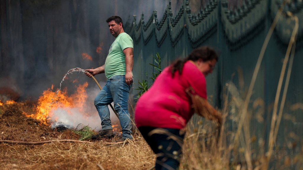 Heróis de quatro patas: IRA resgata centenas de animais dos incêndios