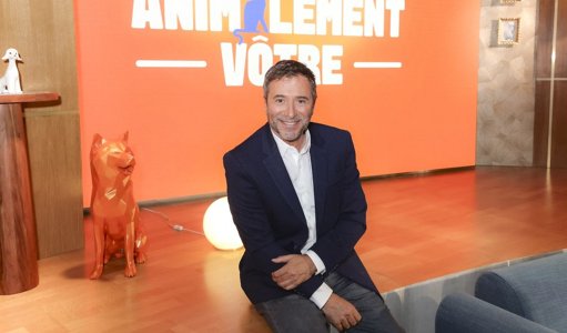 Plusieurs animateurs changent de poste dans le paysage audiovisuel français