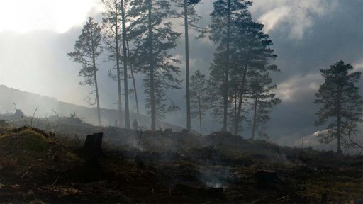 Fogo em Castro Daire Alastra a Lamego e Provoca Ferimentos em Bombeiros