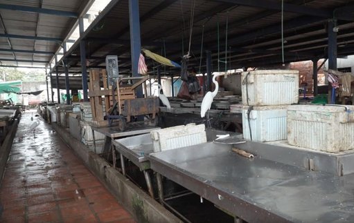 Distrito anuncia inversión de $45 mil millones para la renovación de la Plaza del Pescado y Barranquillita