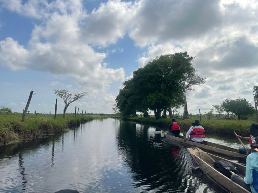 Comunidades de San Bernardo del Viento Implementan Soluciones Naturales Contra Inundaciones