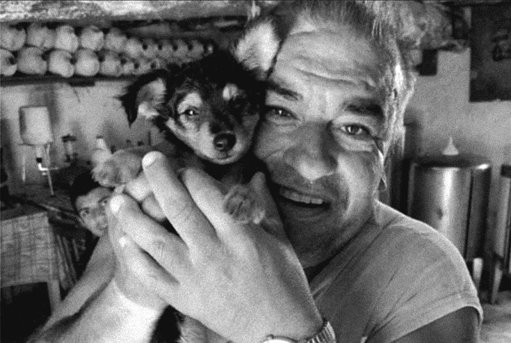 Incêndio Habitacional em Penacova Causa uma Vítima Mortal