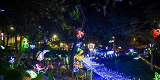 Con una inversión de $2.700 millones, Ibagué prepara un alumbrado navideño a gran escala