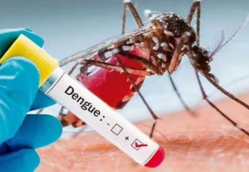 Santander y Bucaramanga en alerta máxima por ser el principal foco de dengue en Colombia