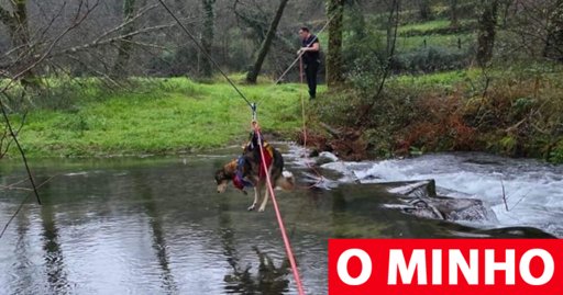Bombeiros de Amares Resgatam Cão em Apuros no Rio Homem