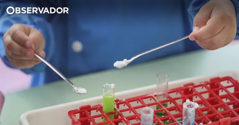 FCT apoia 400 novos projetos de investigação exploratória com 24 milhões de euros