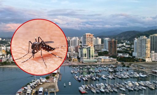 Alerta de Salud Pública en Santa Marta por Crítico Aumento de Casos de Dengue