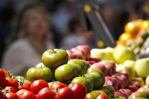Desarrollan un método para convertir desechos de tomate en combustible sostenible para aviones
