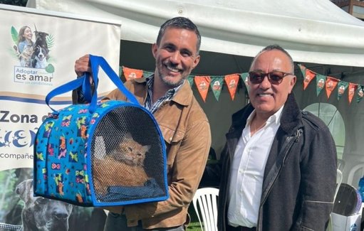 Más de 50 Perros y Gatos Rescatados Buscan un Hogar en Jornadas de Adopción Navideñas en Bogotá