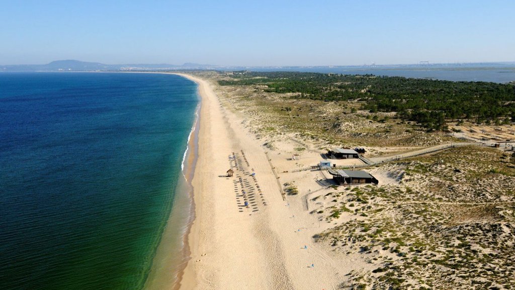Marinha inativa três engenhos explosivos em praias de Grândola e alerta população