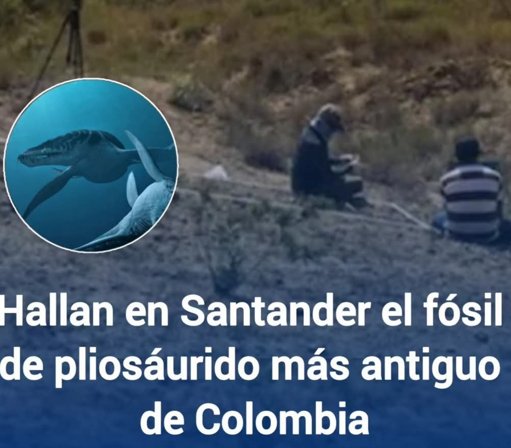 Hallazgo del pliosáurido más antiguo de Colombia redefine la prehistoria marina del país