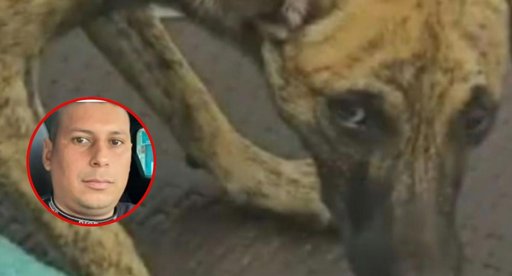 El Insólito Acto de un Maltratador de Animales: Se Entrega a las Autoridades con un Perro