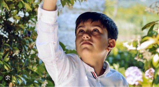 Campanha Nacional Procura Dador de Medula Óssea para Afonso, Jovem de 12 Anos