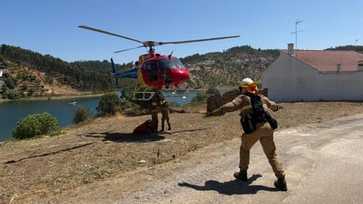 GNR descobre plantação de canábis durante voo de combate a incêndio