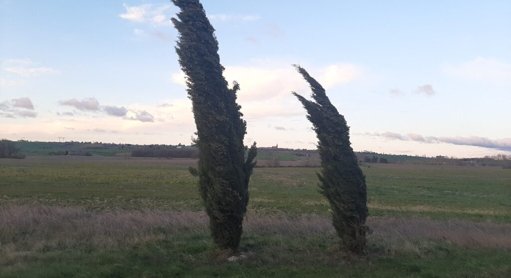 Toulouse et la Haute-Garonne en vigilance jaune pour des vents violents