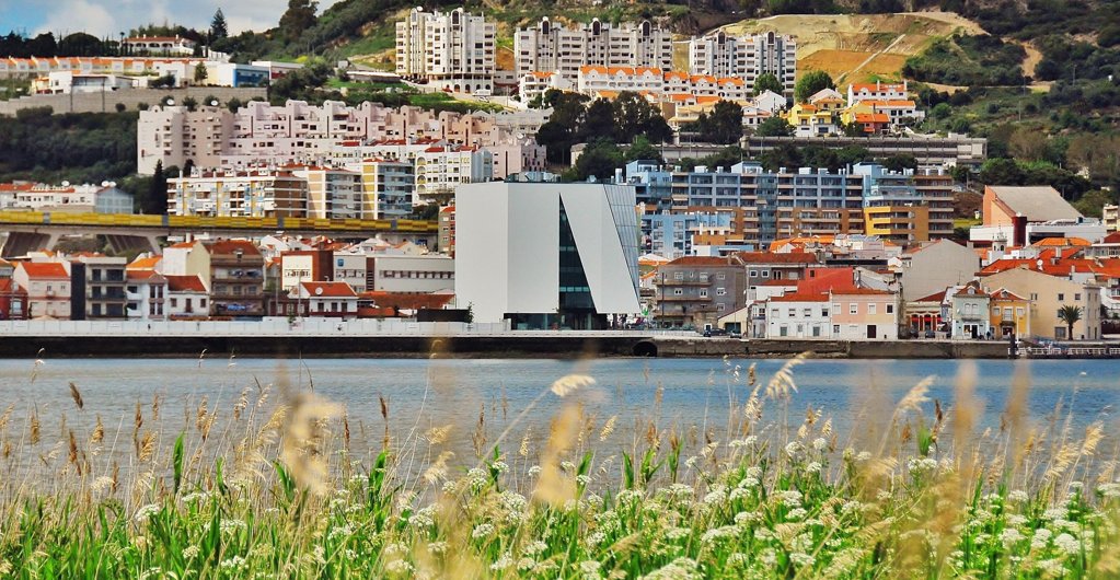 Comunidade de Vila Franca de Xira consegue anulação de licença para vacaria em zona protegida