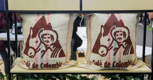 Producción y Exportación de Café Crecen en Agosto, pero se Advierte Declive para Fin de Año