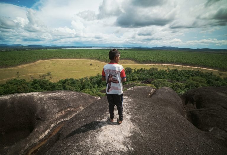 La colonización 'verde': despojo y conflicto territorial en Vichada