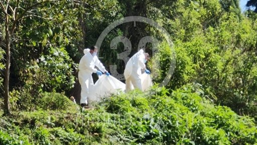 Hallan sin vida a joven que había sido retenido por falsos policías en Marinilla