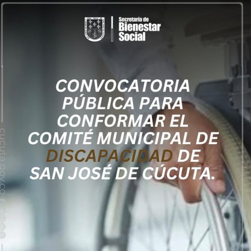 Iniciativas para la Inclusión Social y Participación Ciudadana