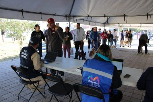 Chihuahua Capital Impulsa Bienestar Animal con Jornadas de Salud Gratuitas