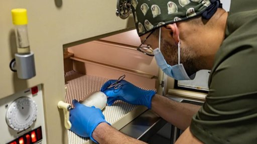 Nacimiento de 'Ámbar', la Nueva Esperanza para el Cóndor Andino