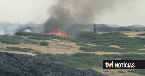 Governo Lança Pacote de Apoios para Vítimas dos Incêndios Rurais