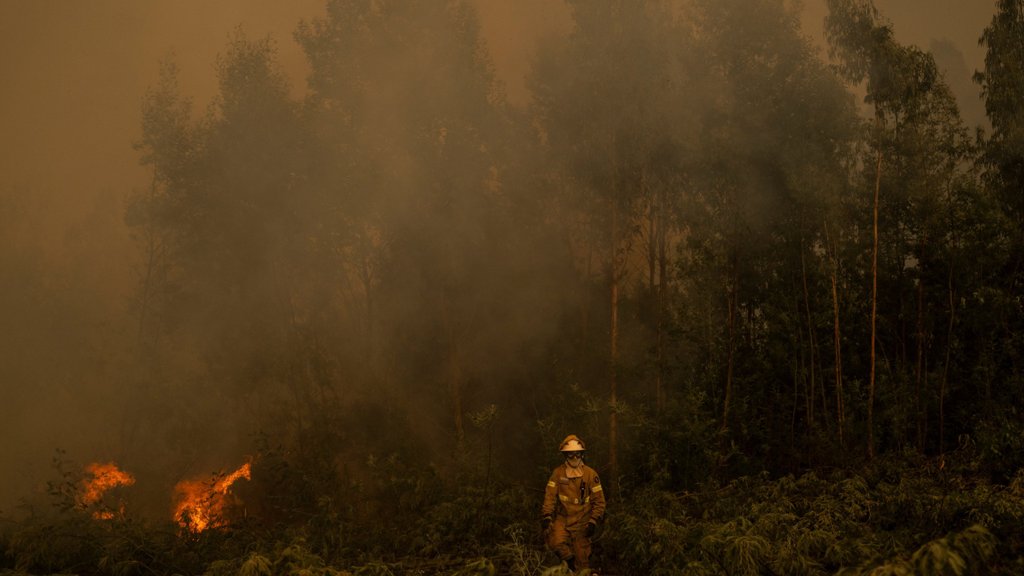 Incêndio na Serra do Alvão gera apreensão e mobiliza centenas de operacionais