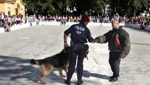 Cães de Trabalho: Os Heróis de Quatro Patas nas Forças de Segurança e Socorro