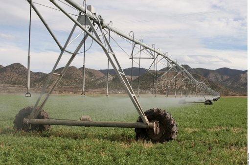 Aprueban Presupuesto 2026 con deuda récord y recortes a seguridad, agricultura y órganos autónomos