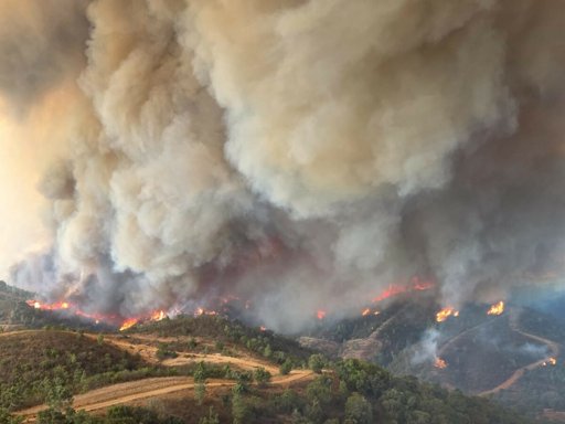 Incêndio de Grandes Proporções em Aljezur Mobiliza Centenas de Operacionais e Corta Estradas Nacionais
