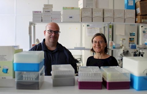 Nova Abordagem Molecular Acelera Cicatrização de Feridas em Diabéticos