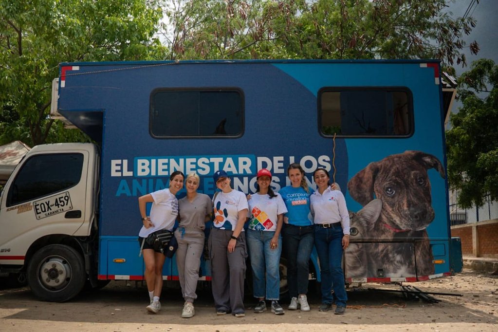 Jornadas de esterilización masiva se consolidan como estrategia clave de bienestar animal en Colombia