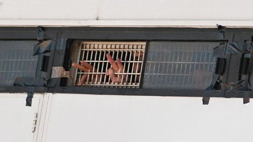 Activistas de la Flotilla de la Libertad acusan a policías israelíes de agresión sexual; Israel lo niega