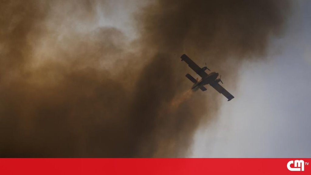 Incêndio em Moimenta da Beira marcado por fenómeno raro de 'tornado de fogo'