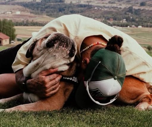 Lewis Hamilton Anuncia Morte do Cão Roscoe em Publicação Emotiva